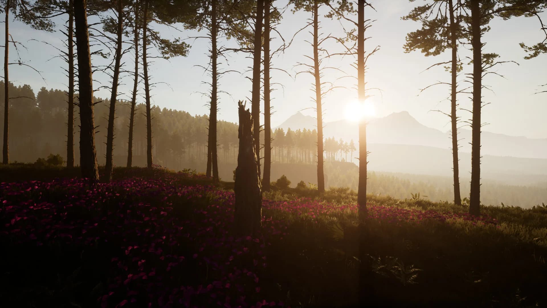 Dead District: Survival görsel 5