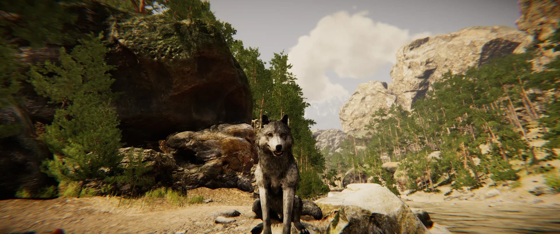 Animal Simulator görsel 2