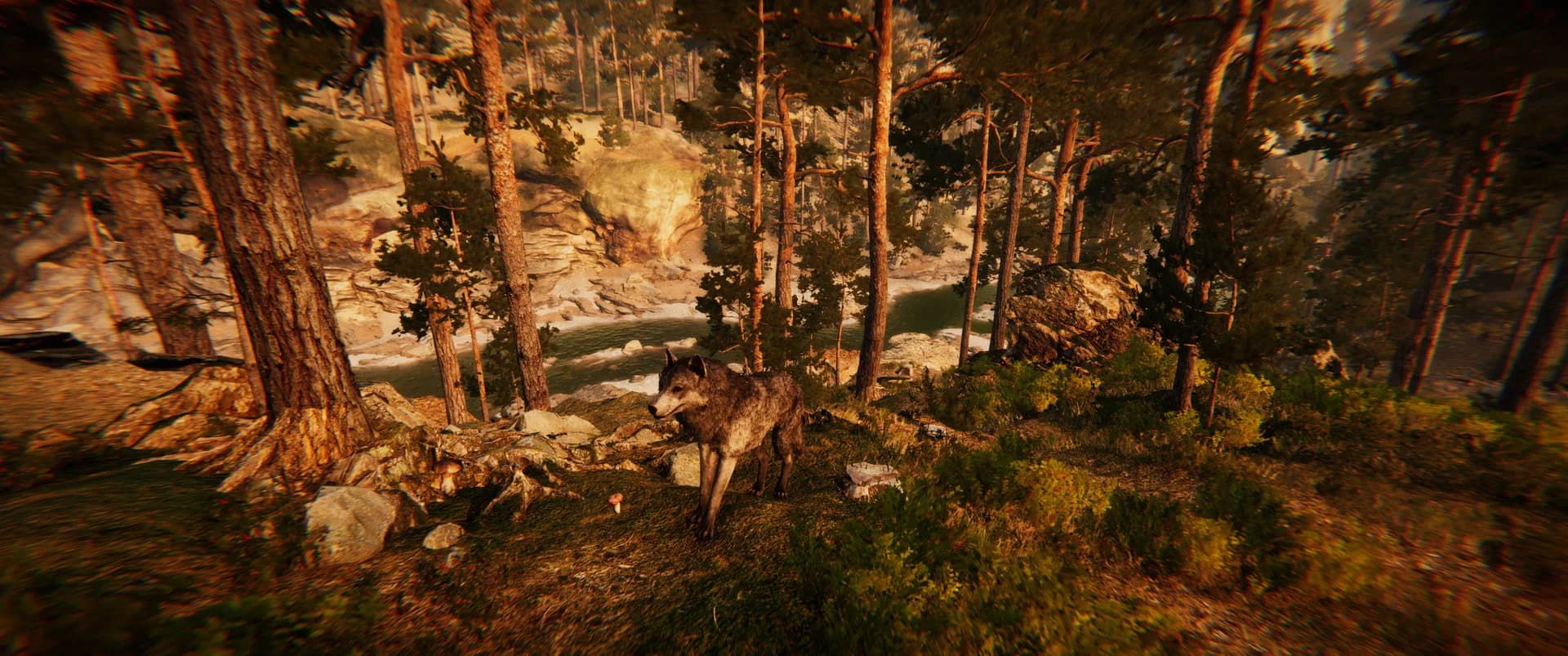 Animal Simulator görsel 13