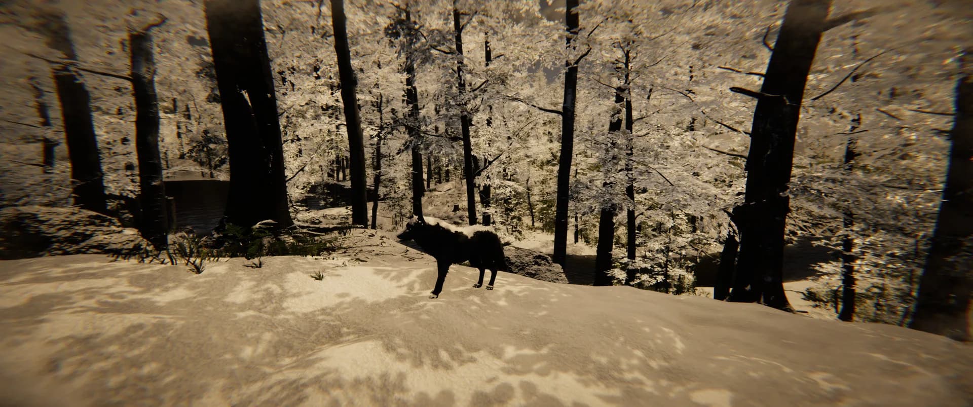 Animal Simulator görsel 14