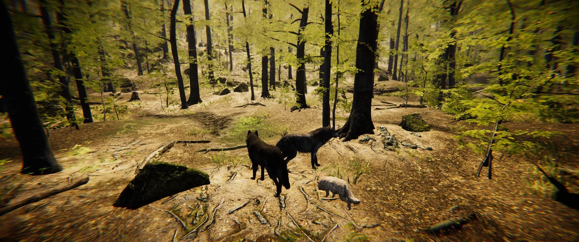 Animal Simulator görsel 16