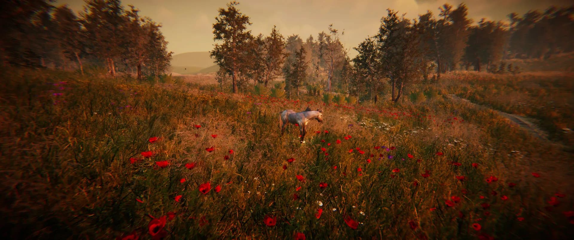 Animal Simulator görsel 24