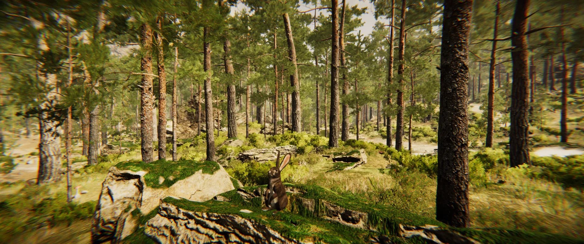 Animal Simulator görsel 10