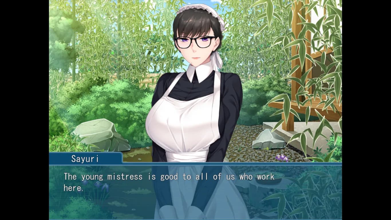 The Modest Handmaid’s Sex Work ~I will be your partner in place of the young mistress~ görsel 6
