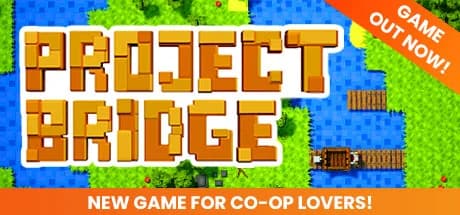 Project Bridge