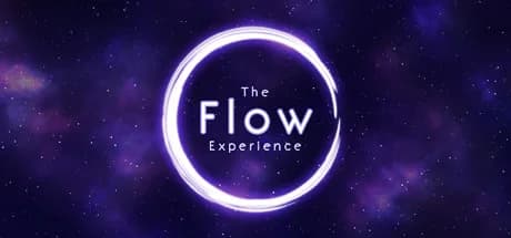 The Flow Experience görsel 1