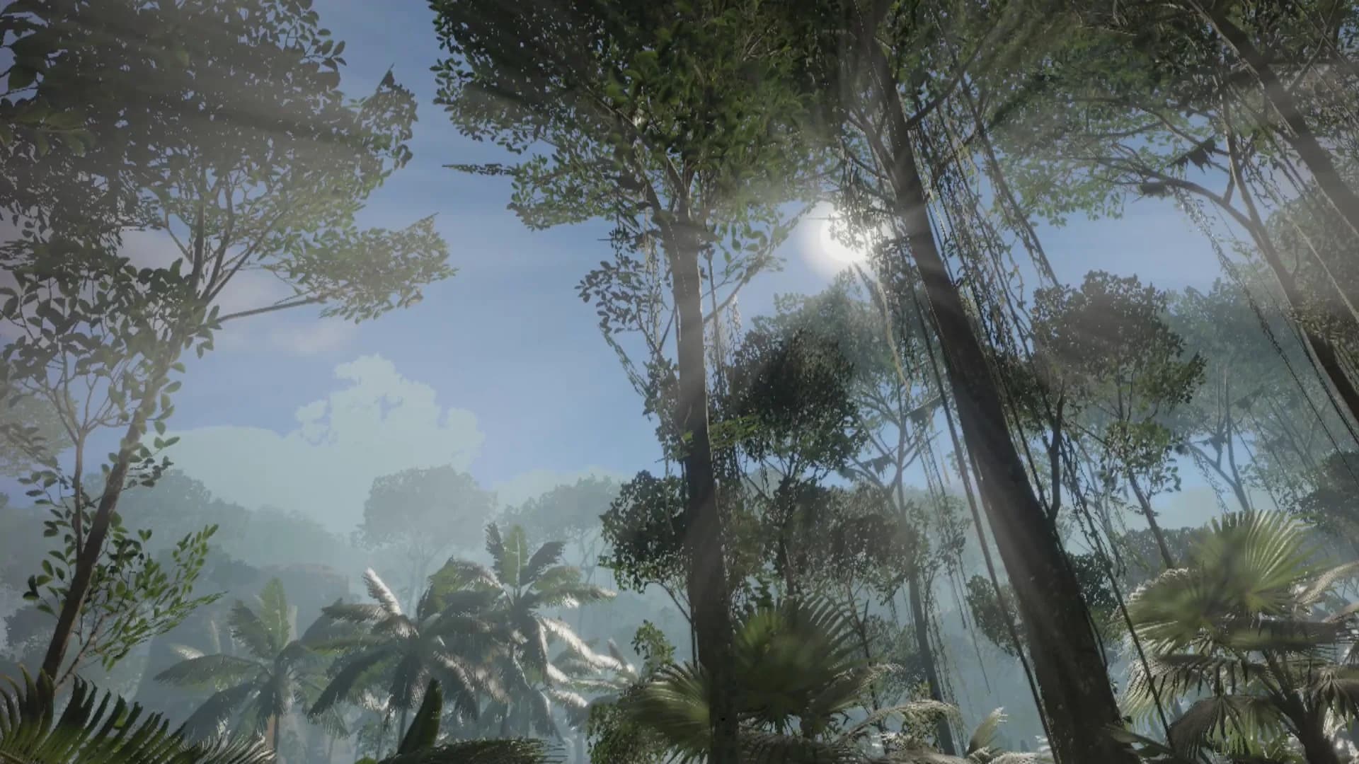 Green Hell VR görsel 5