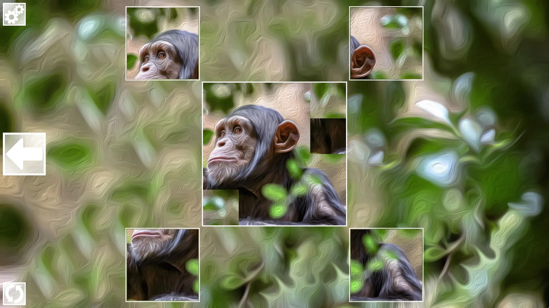 Puzzle Art: Primates görsel 2