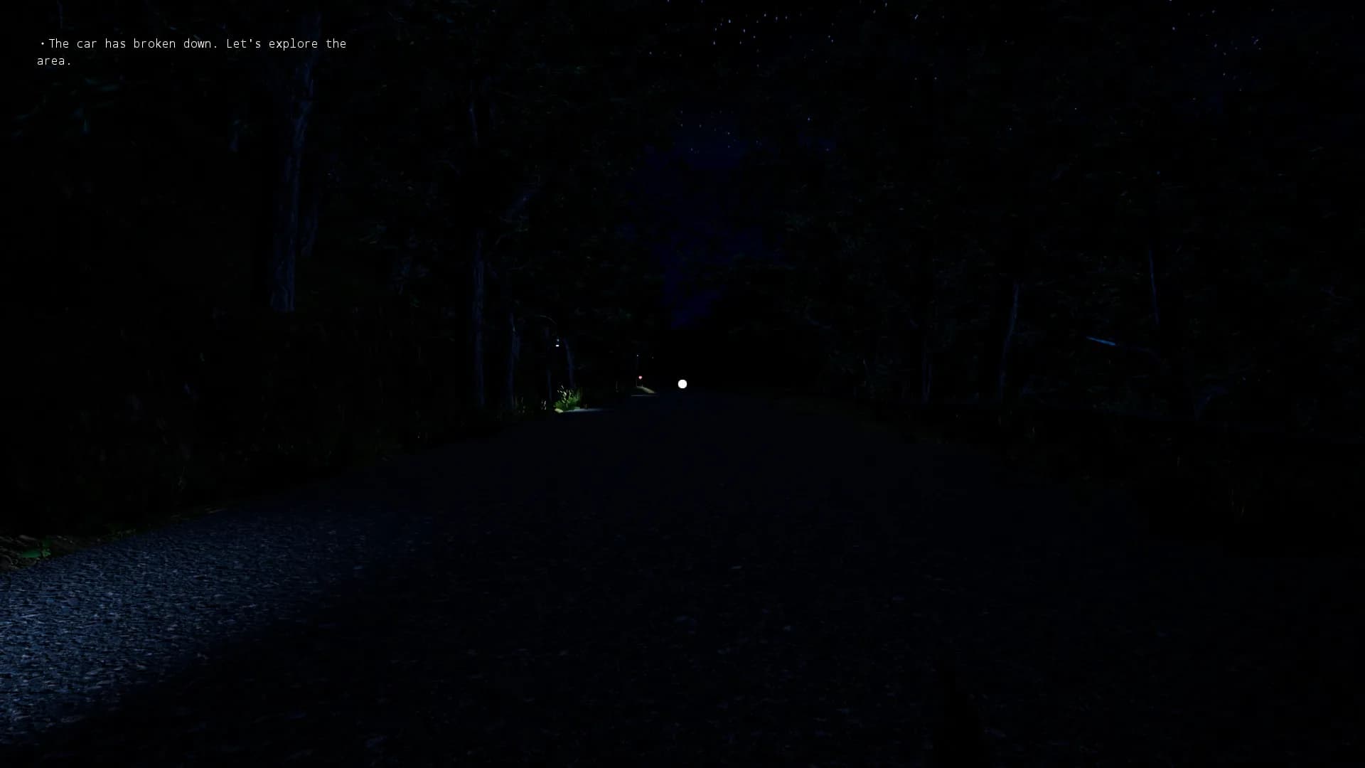 Escape from the Village görsel 2