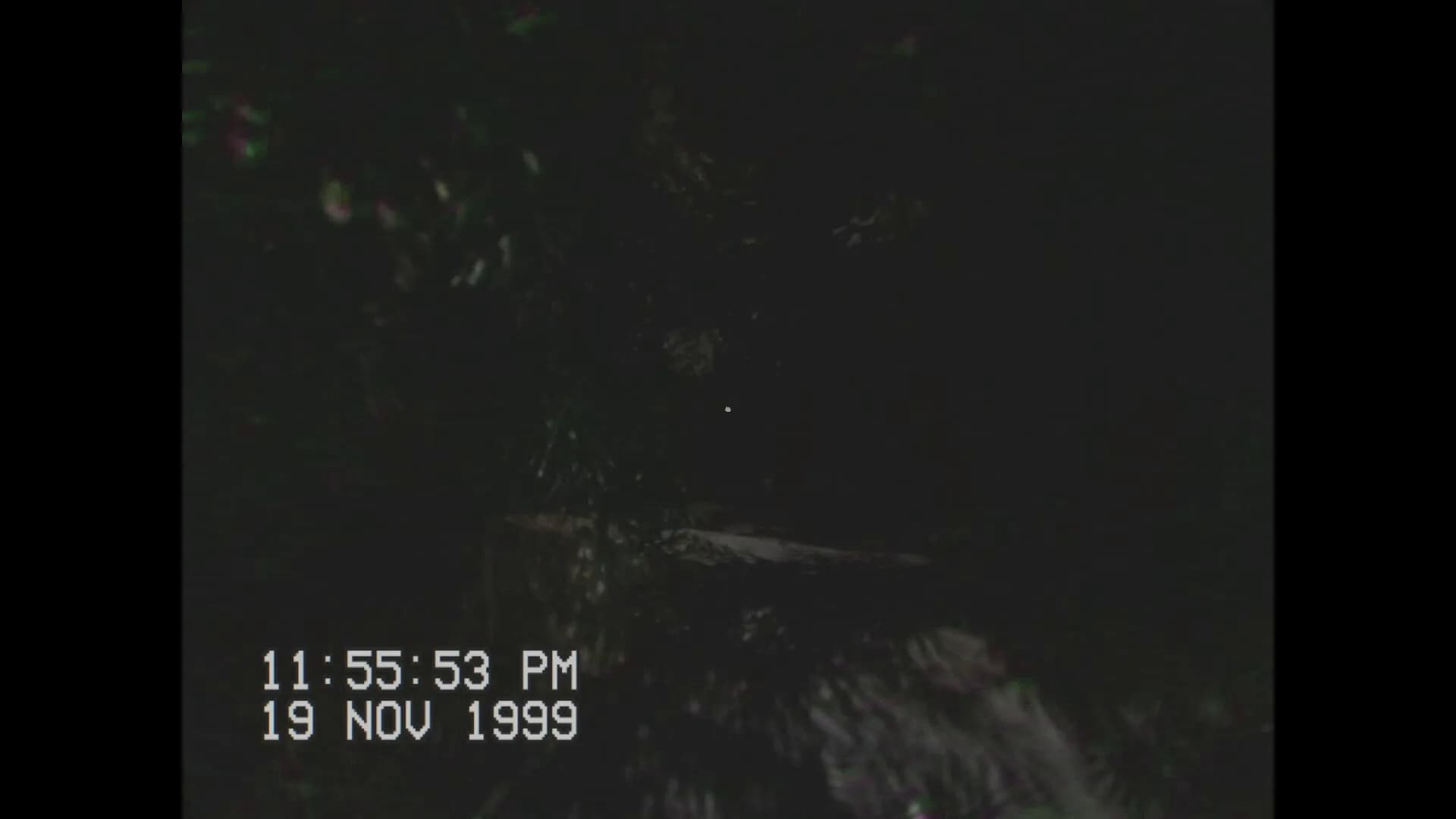 Stay with Me! Alien Abduction Story görsel 7