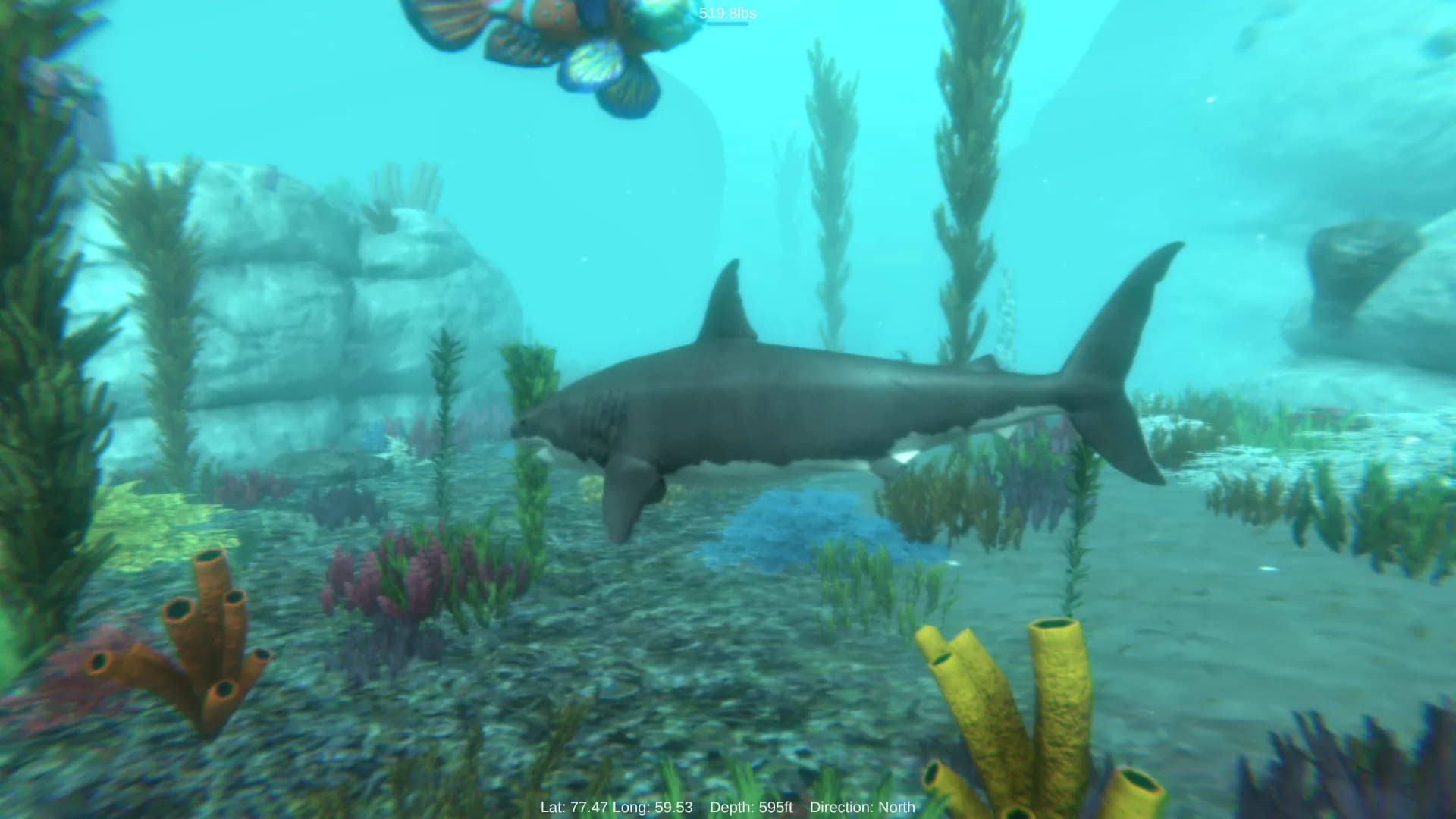 Alpha Shark görsel 2