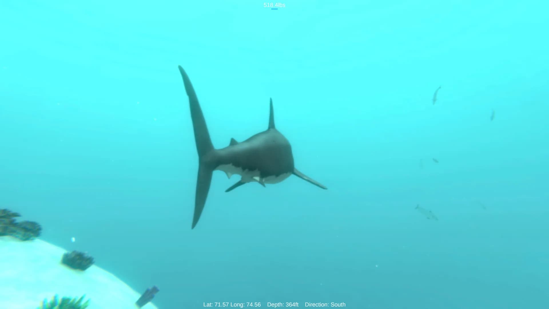 Alpha Shark görsel 3