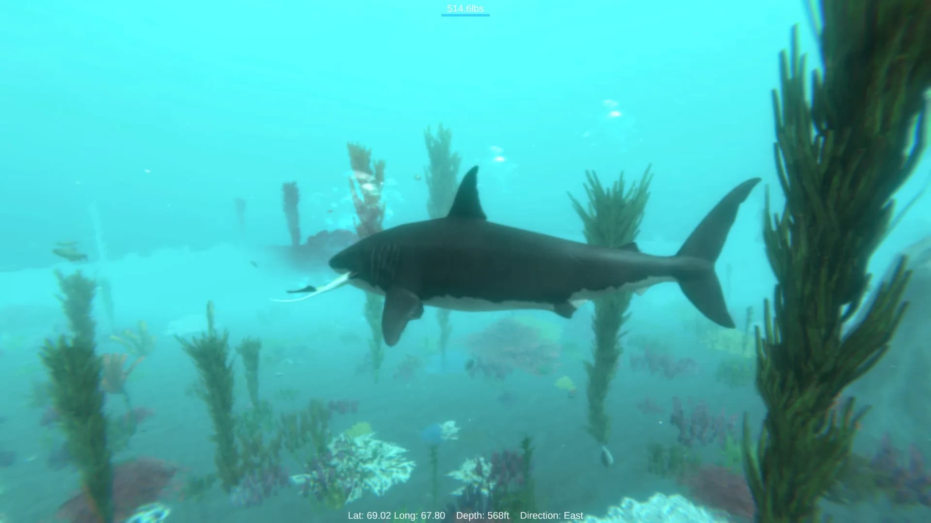 Alpha Shark görsel 4