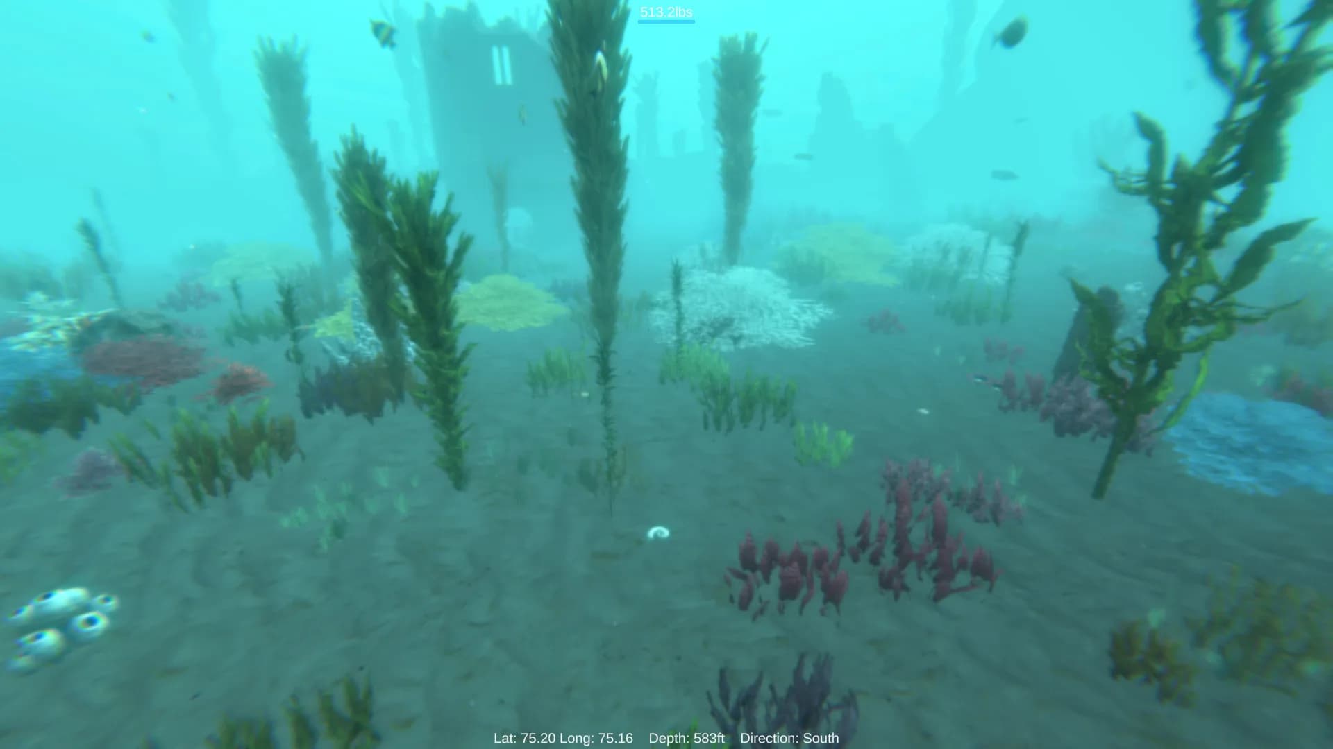 Alpha Shark görsel 5