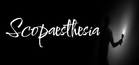 Scopaesthesia görsel 1