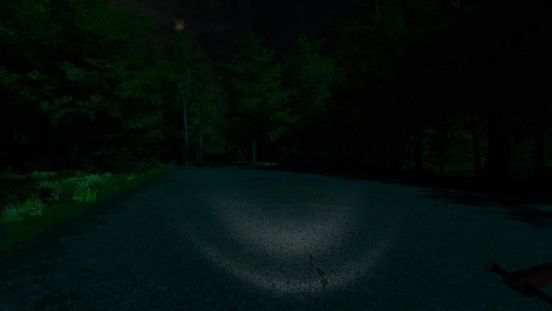 Scopaesthesia görsel 2