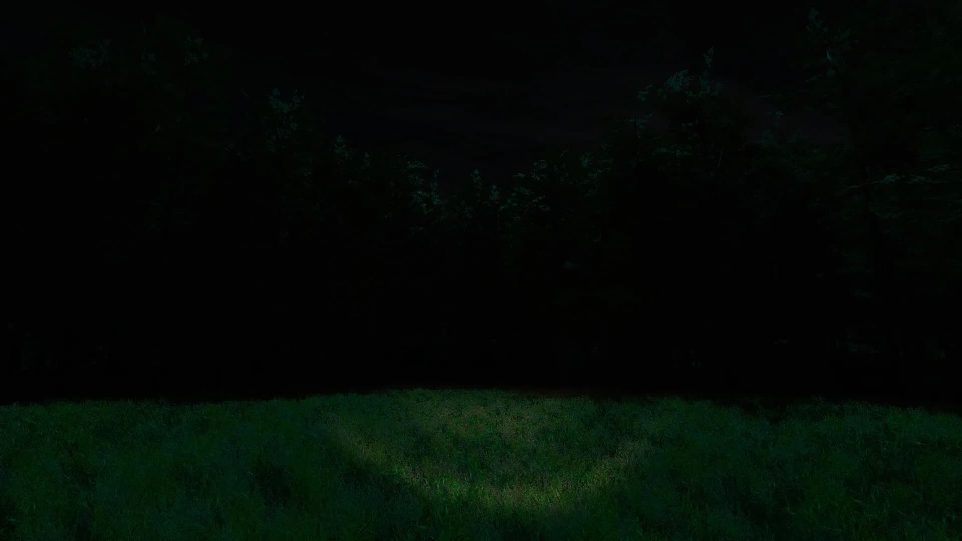 Scopaesthesia görsel 6