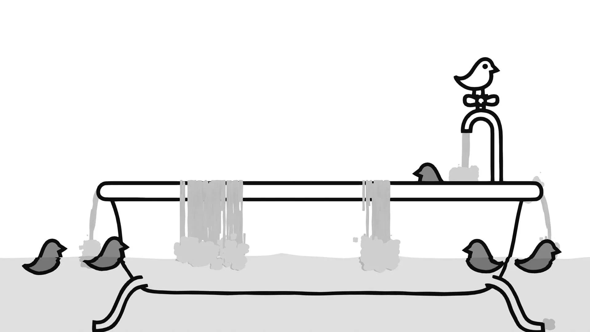 PiAwk görsel 3