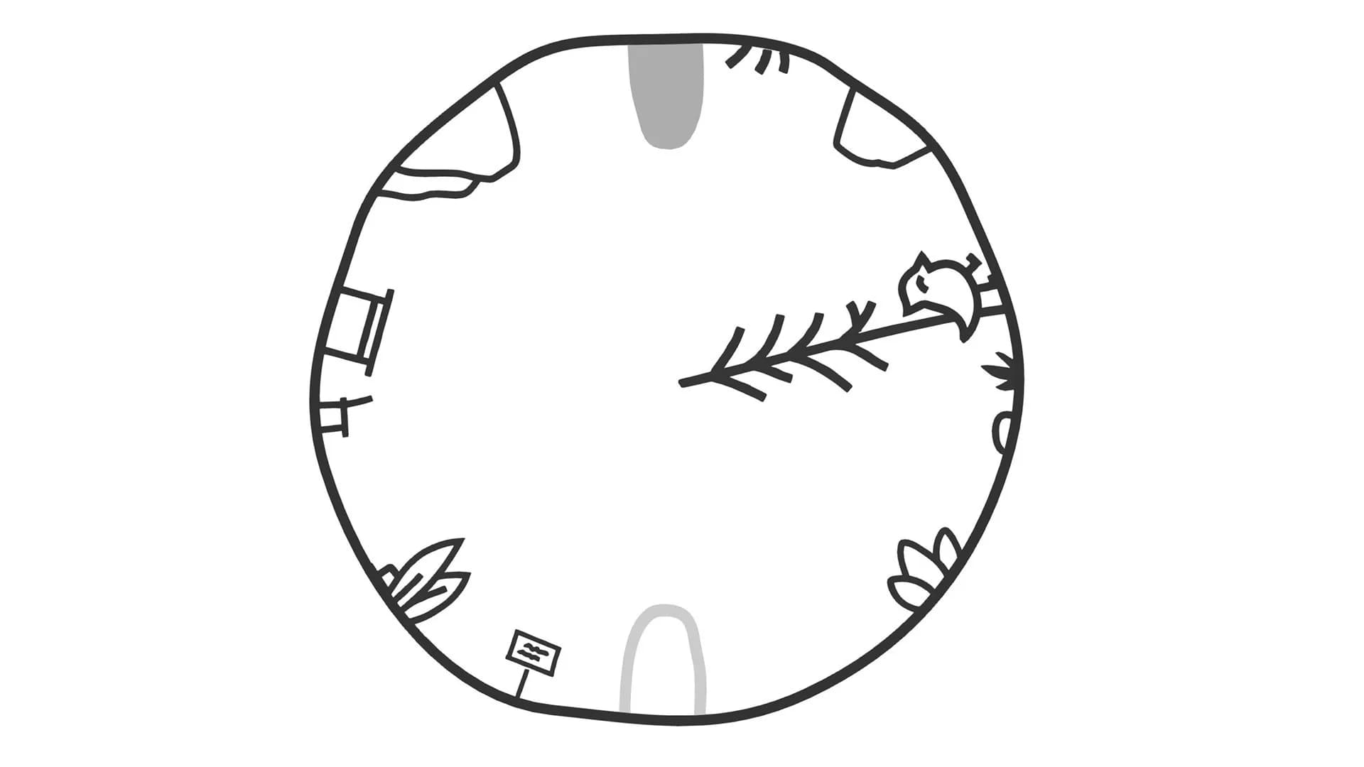 PiAwk görsel 6