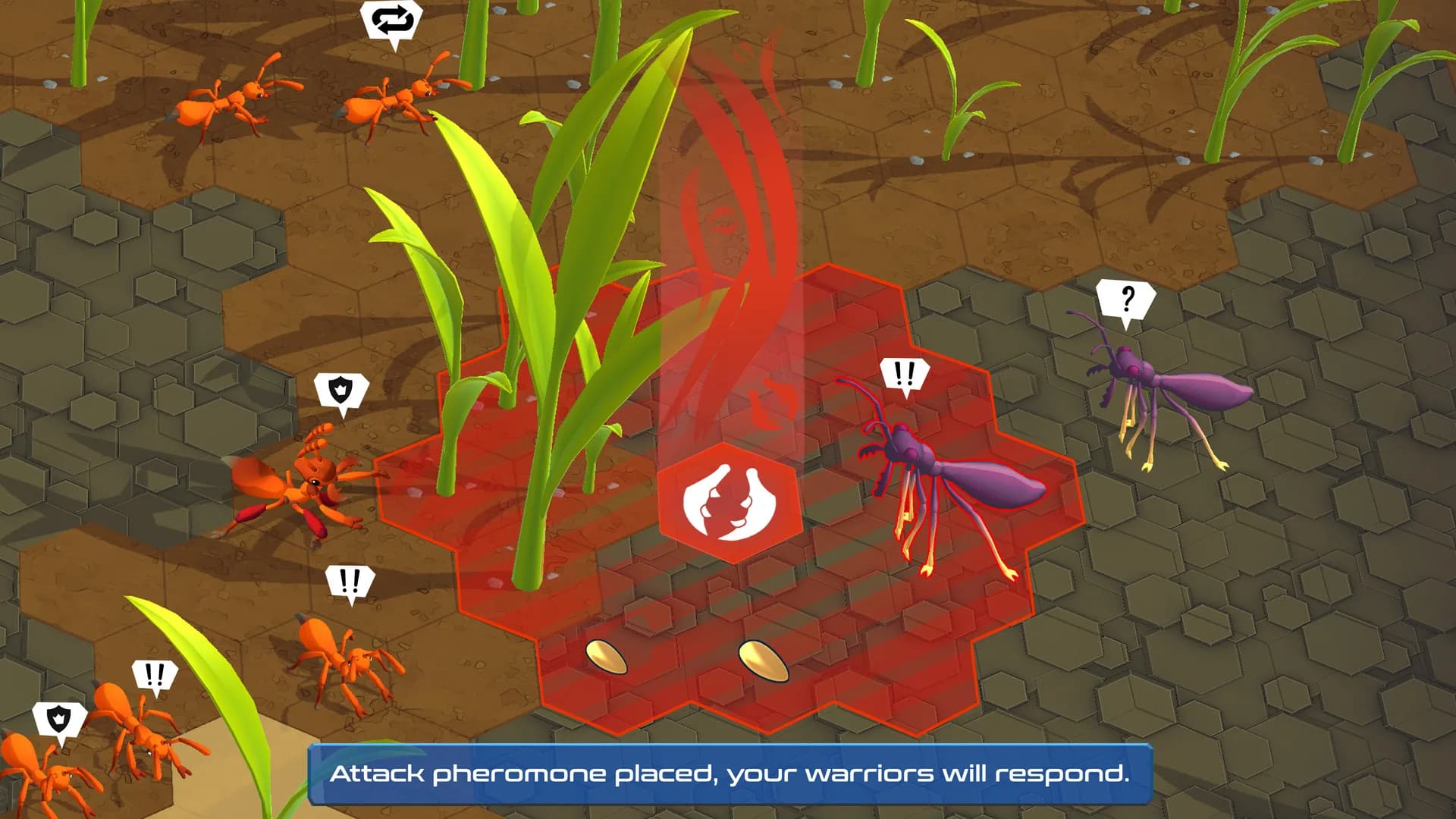 SuperColony görsel 6