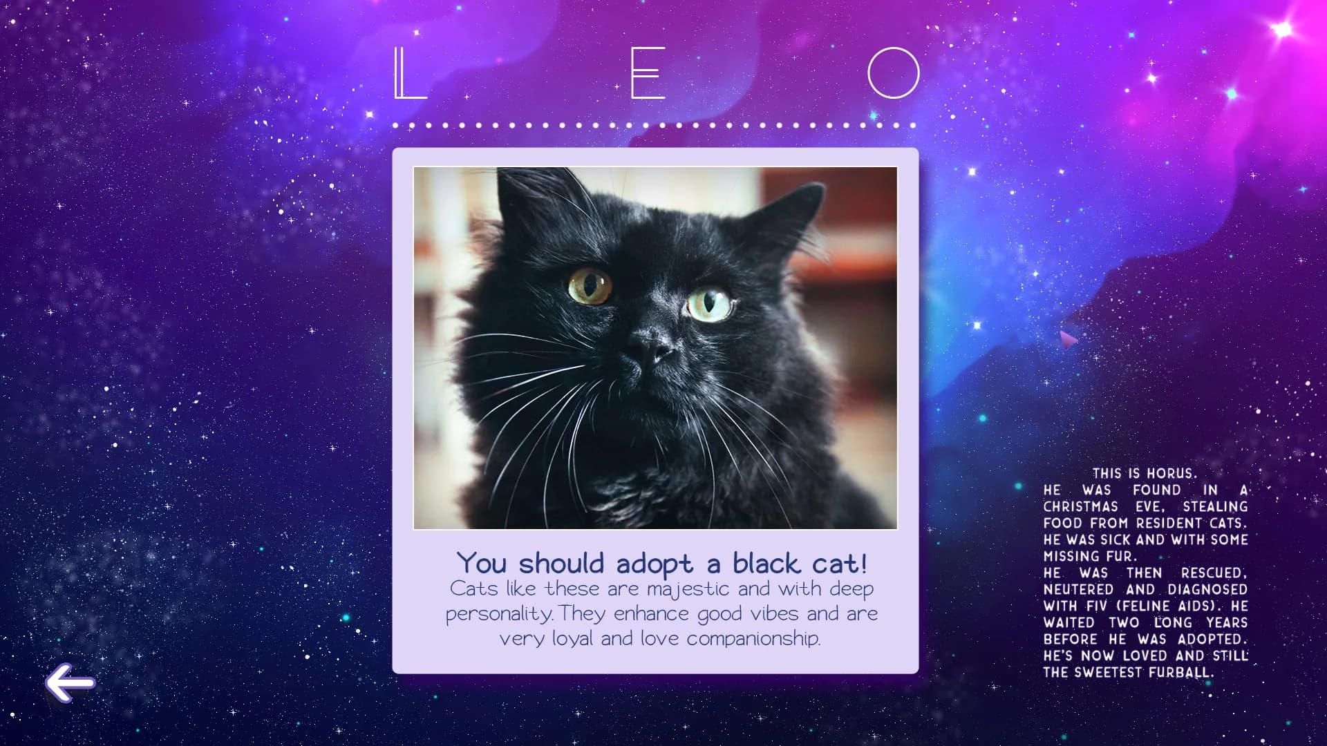 Zodiacats görsel 7