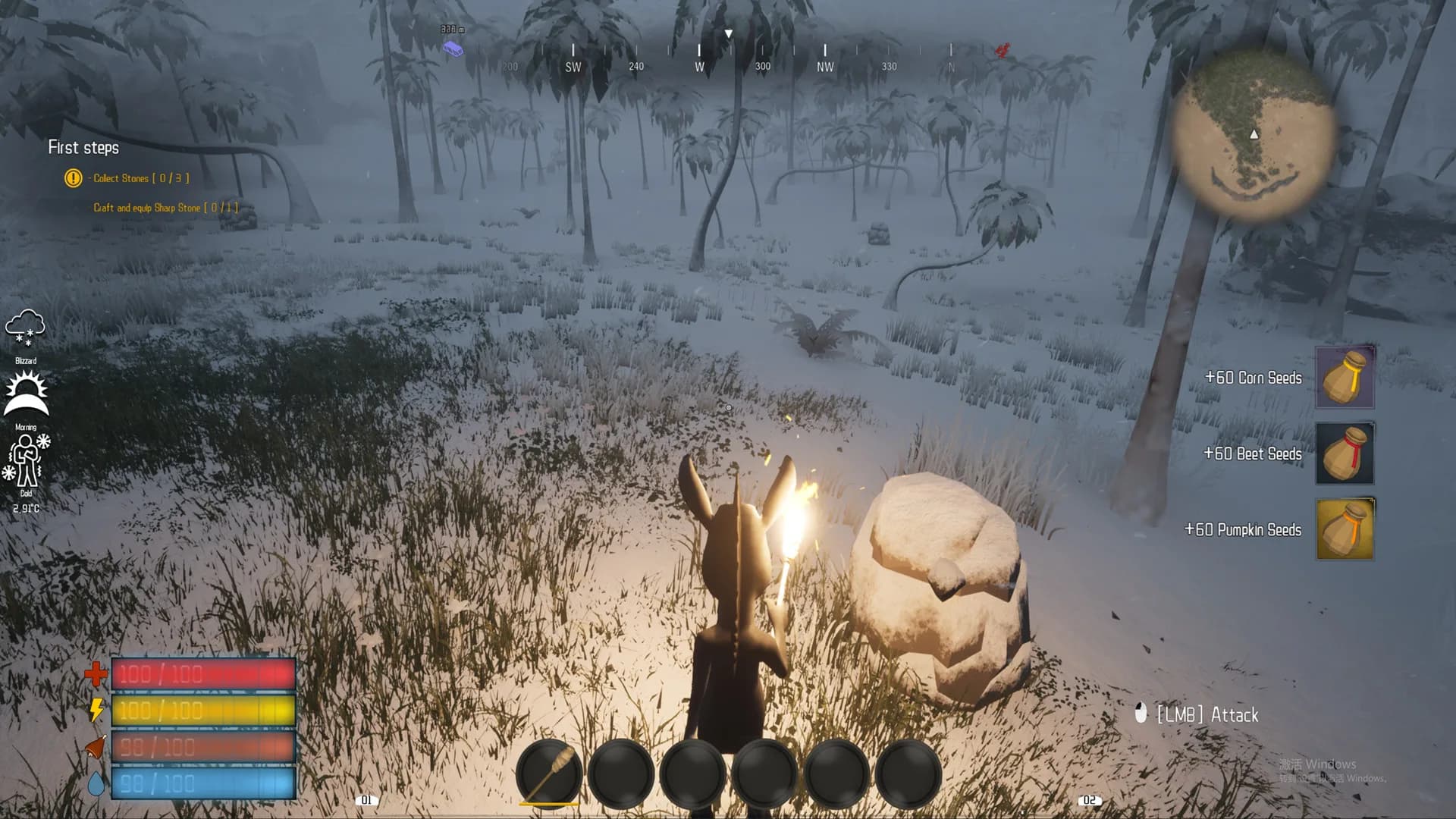 SurvivalIsLand görsel 5