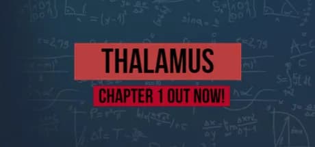 Thalamus