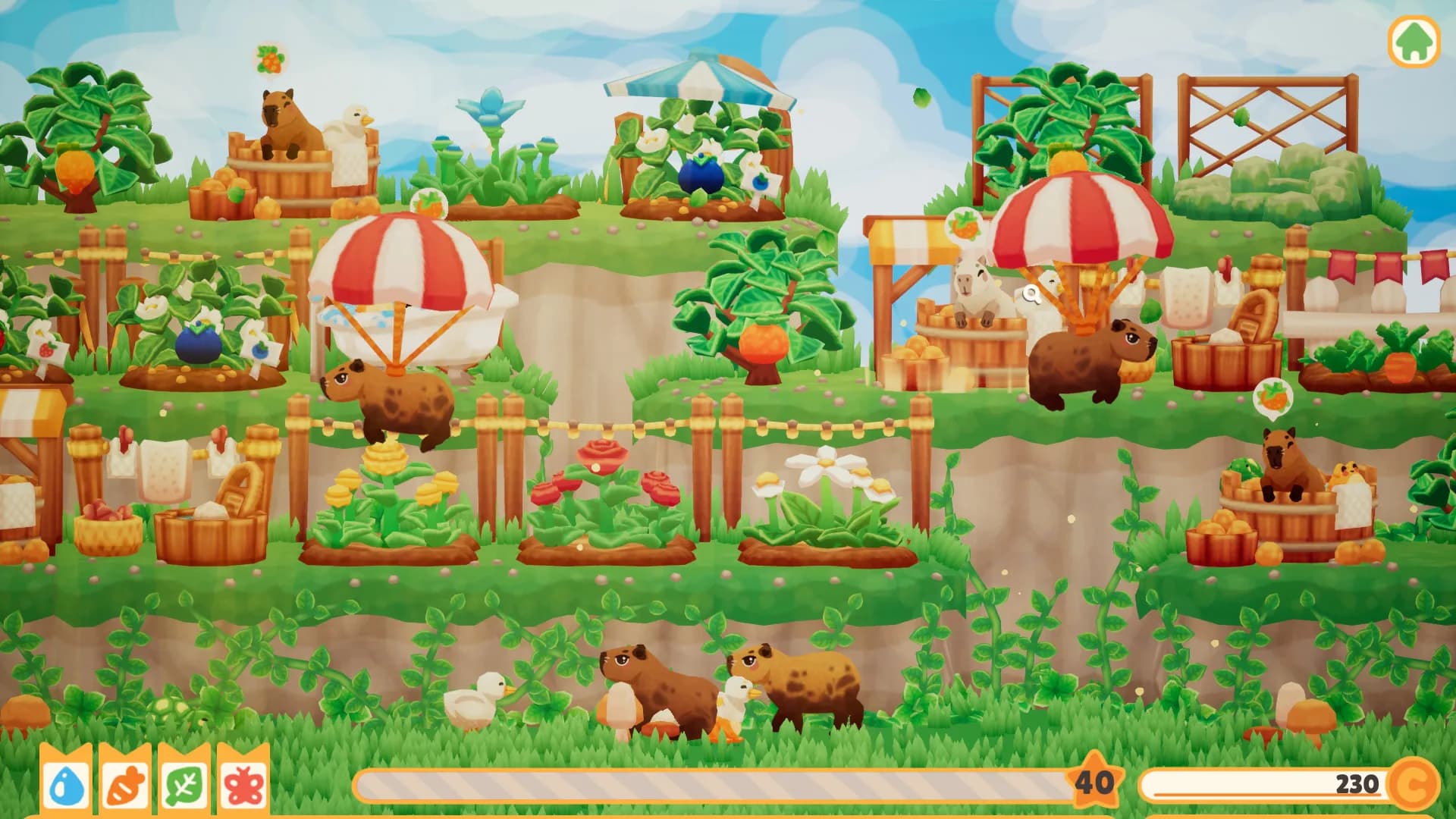 Capybara Spa görsel 2