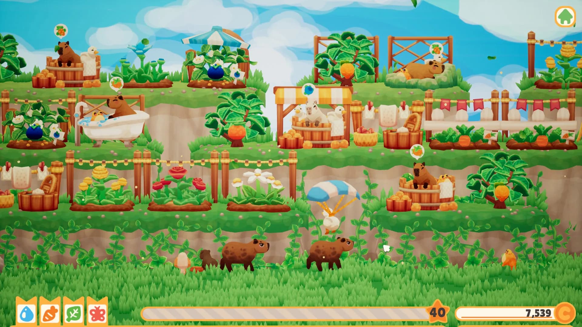 Capybara Spa görsel 7