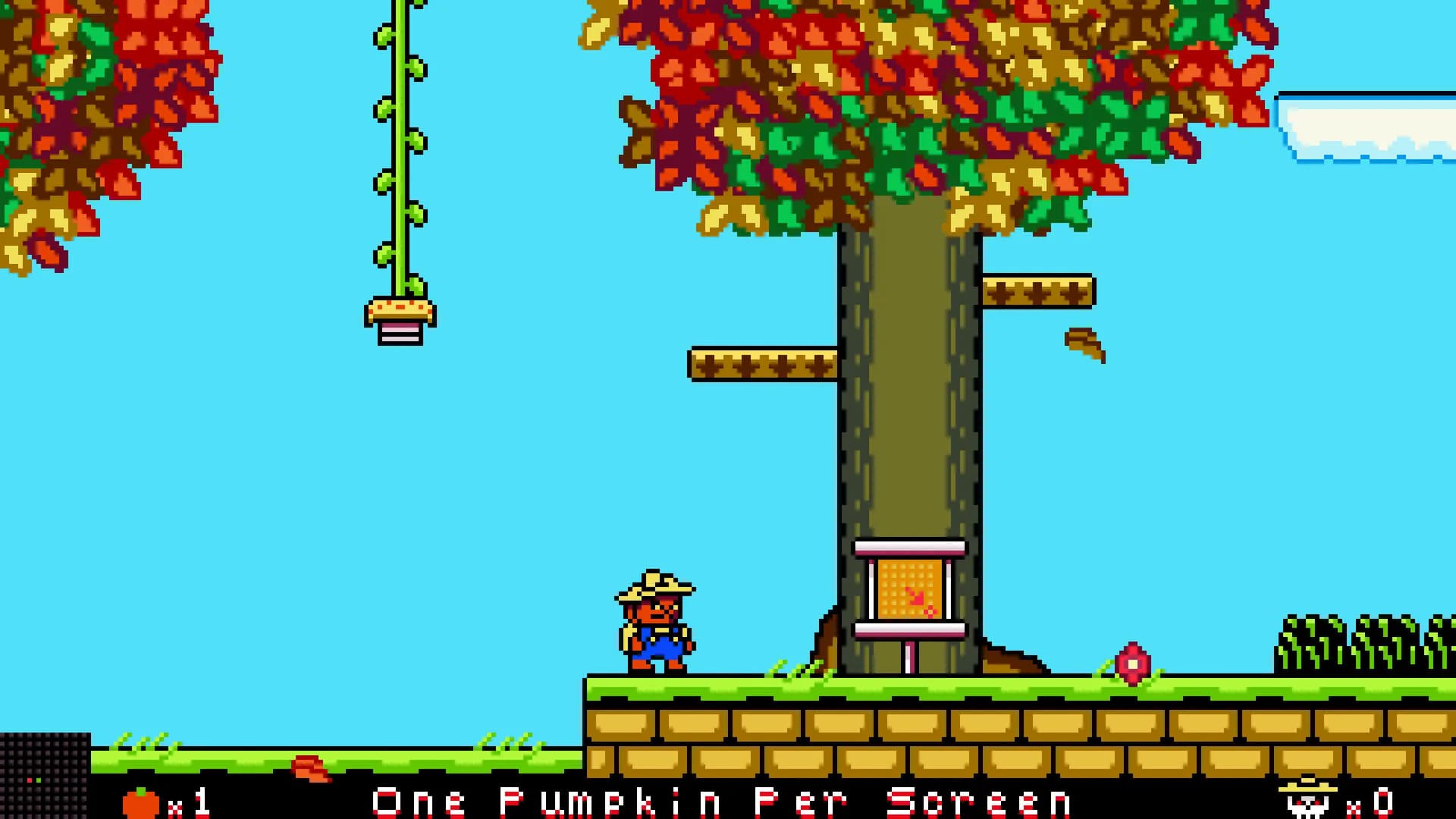 100 Pumpkins 2 görsel 2