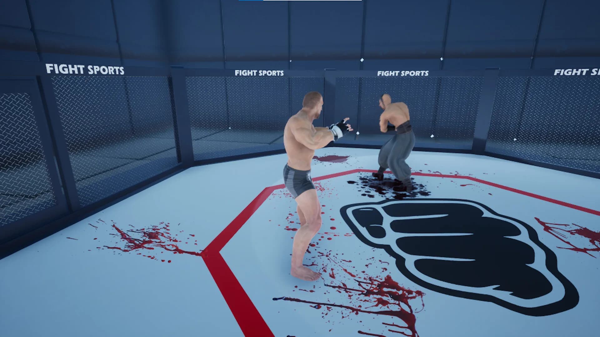 MMA Championship görsel 7