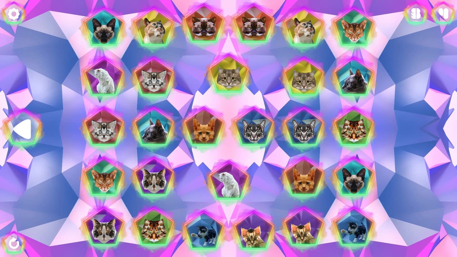 Poly Memory: Cats görsel 2