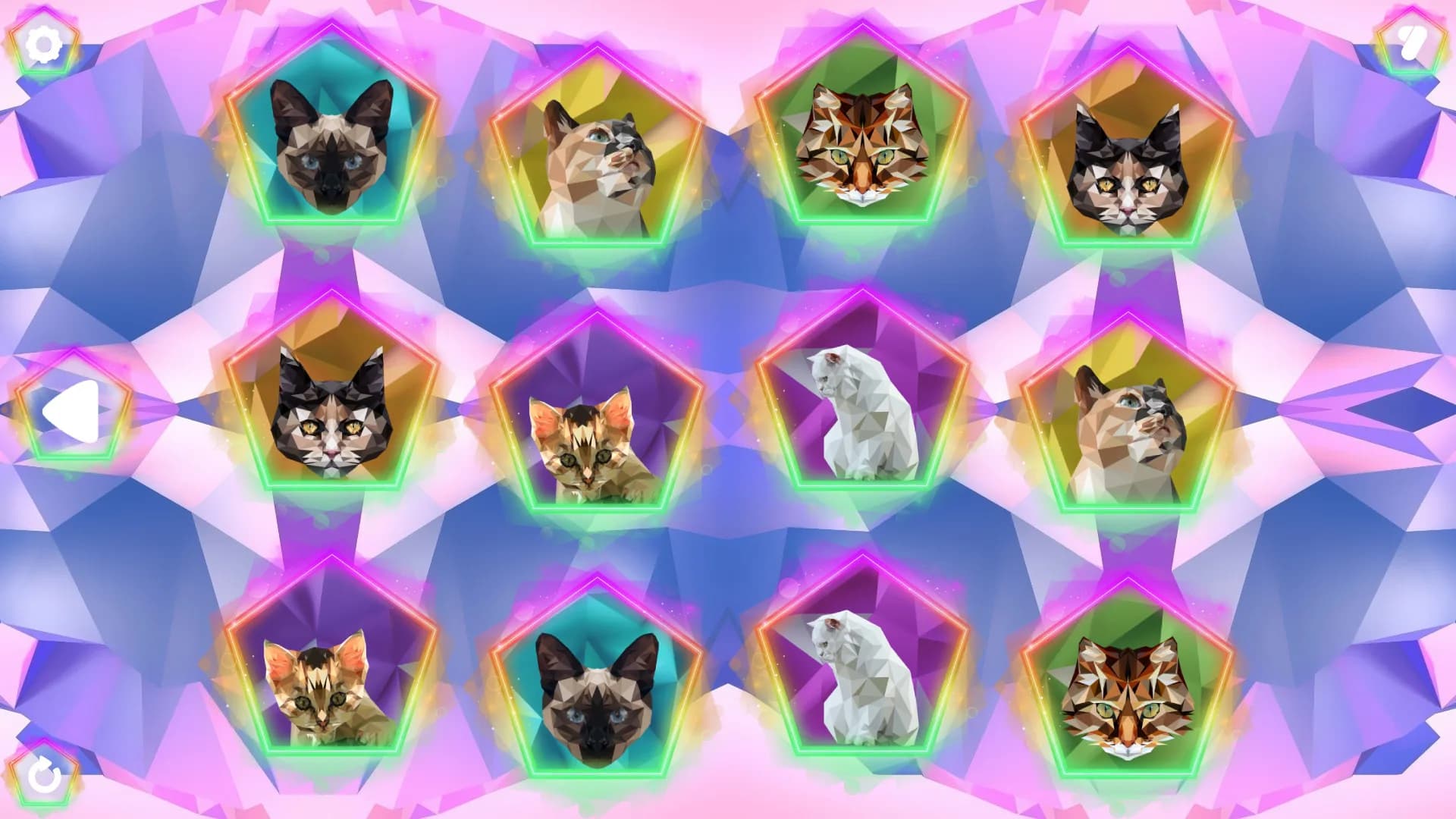 Poly Memory: Cats görsel 4