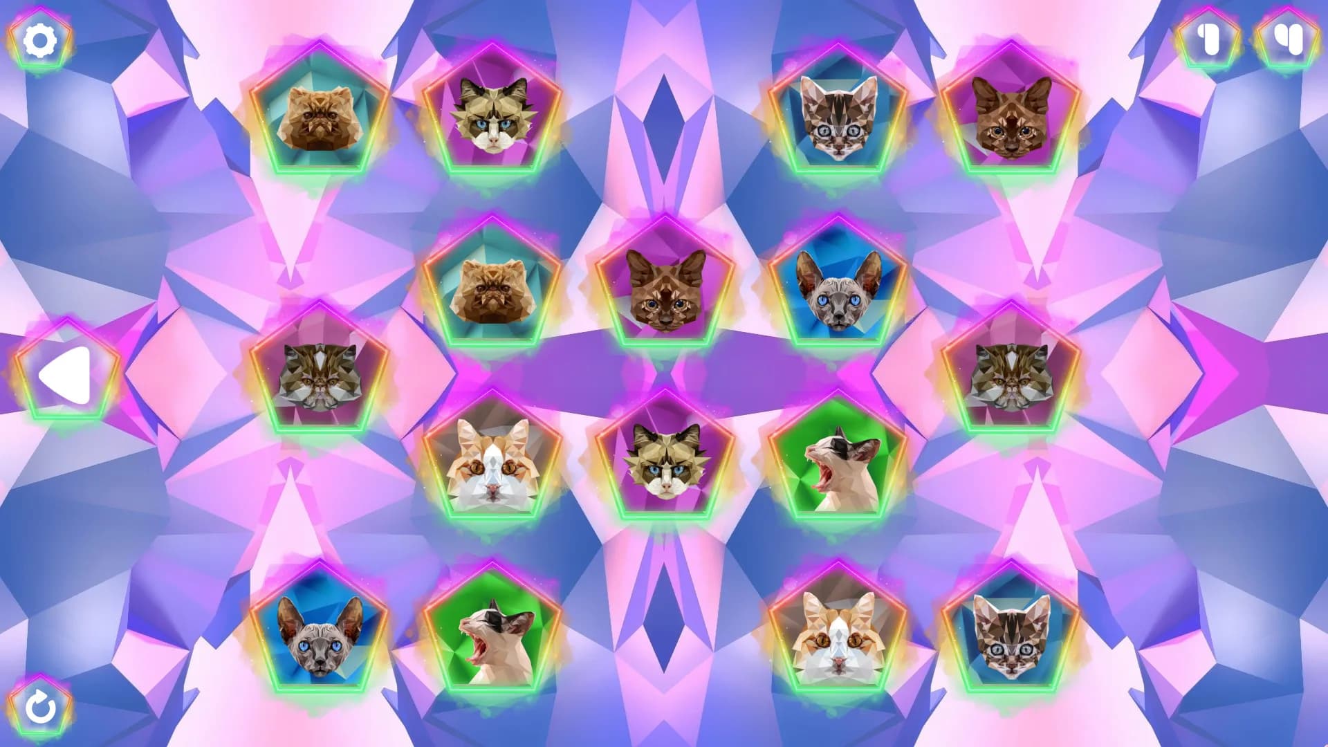 Poly Memory: Cats görsel 5