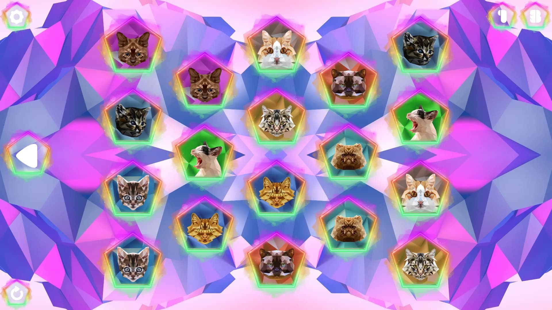 Poly Memory: Cats görsel 6