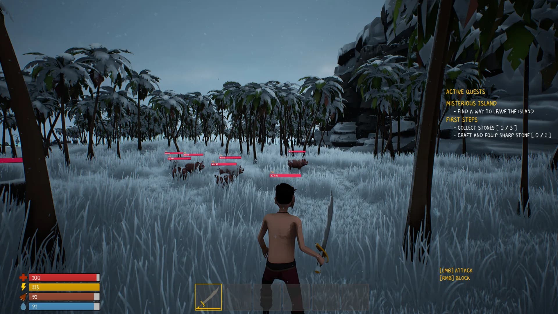 Survive The Island görsel 7