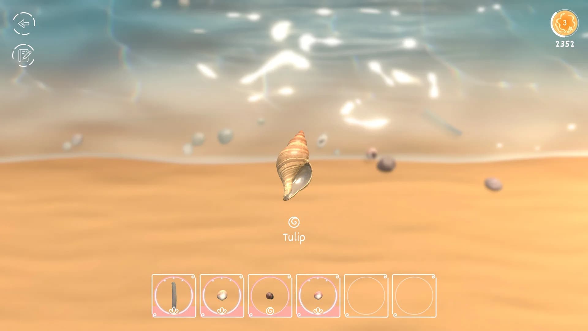 Seashell görsel 2