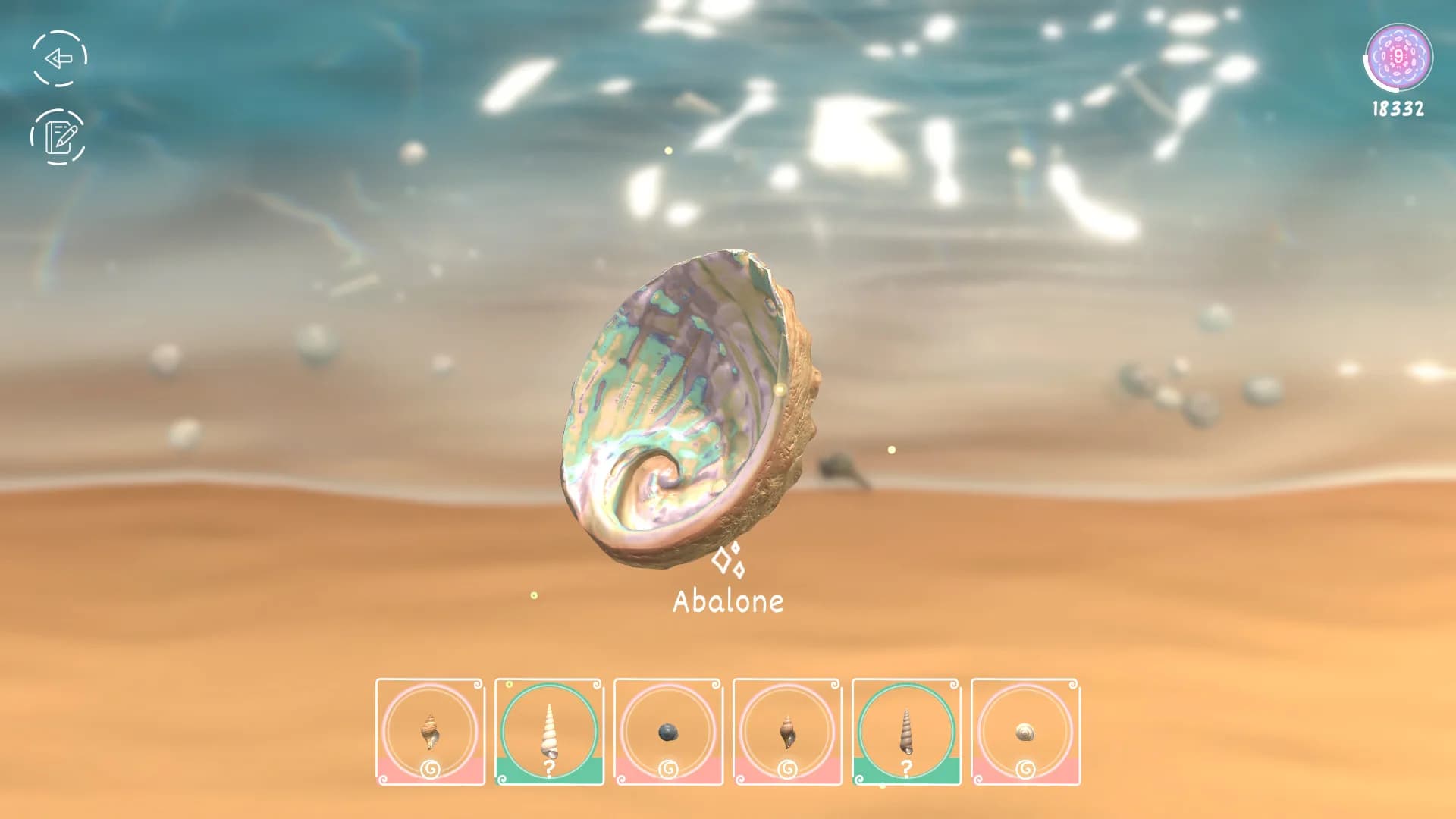 Seashell görsel 6