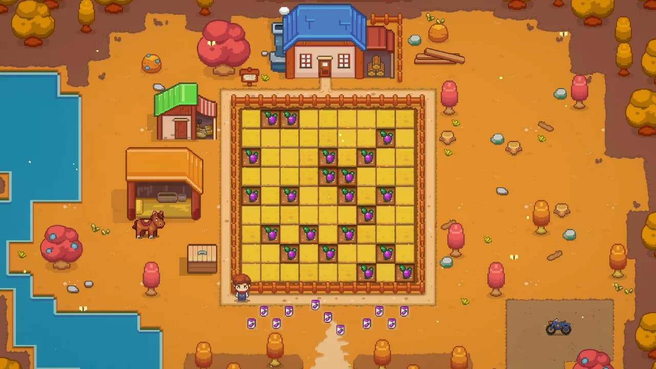 Square Farm görsel 8