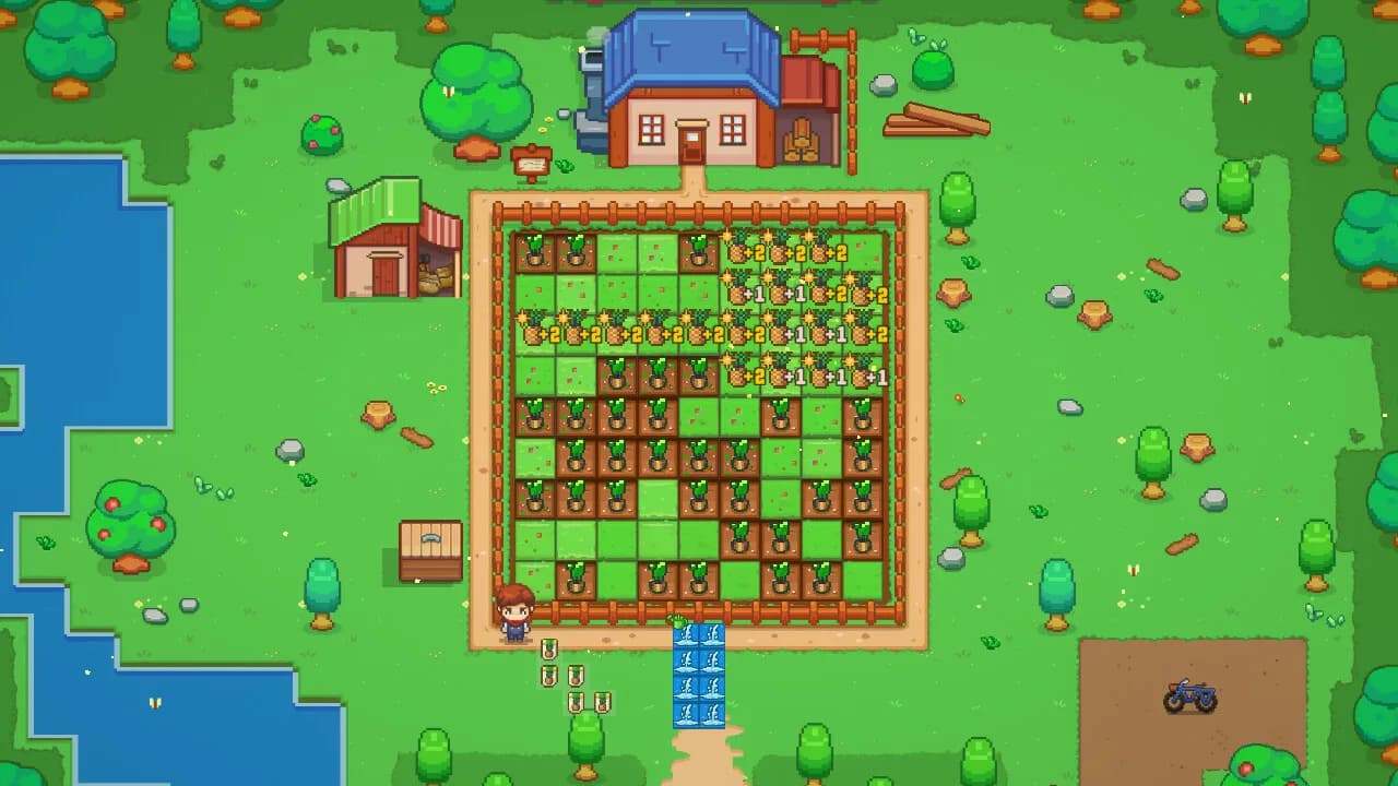 Square Farm görsel 10