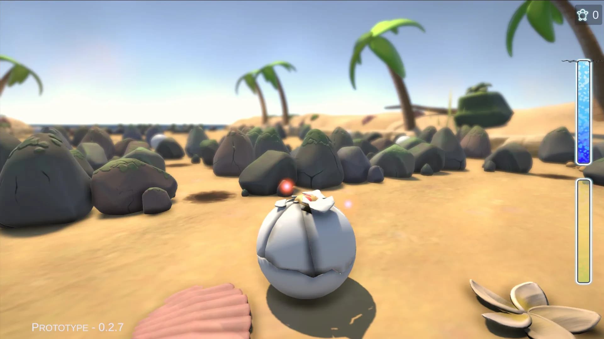 Turtles görsel 9