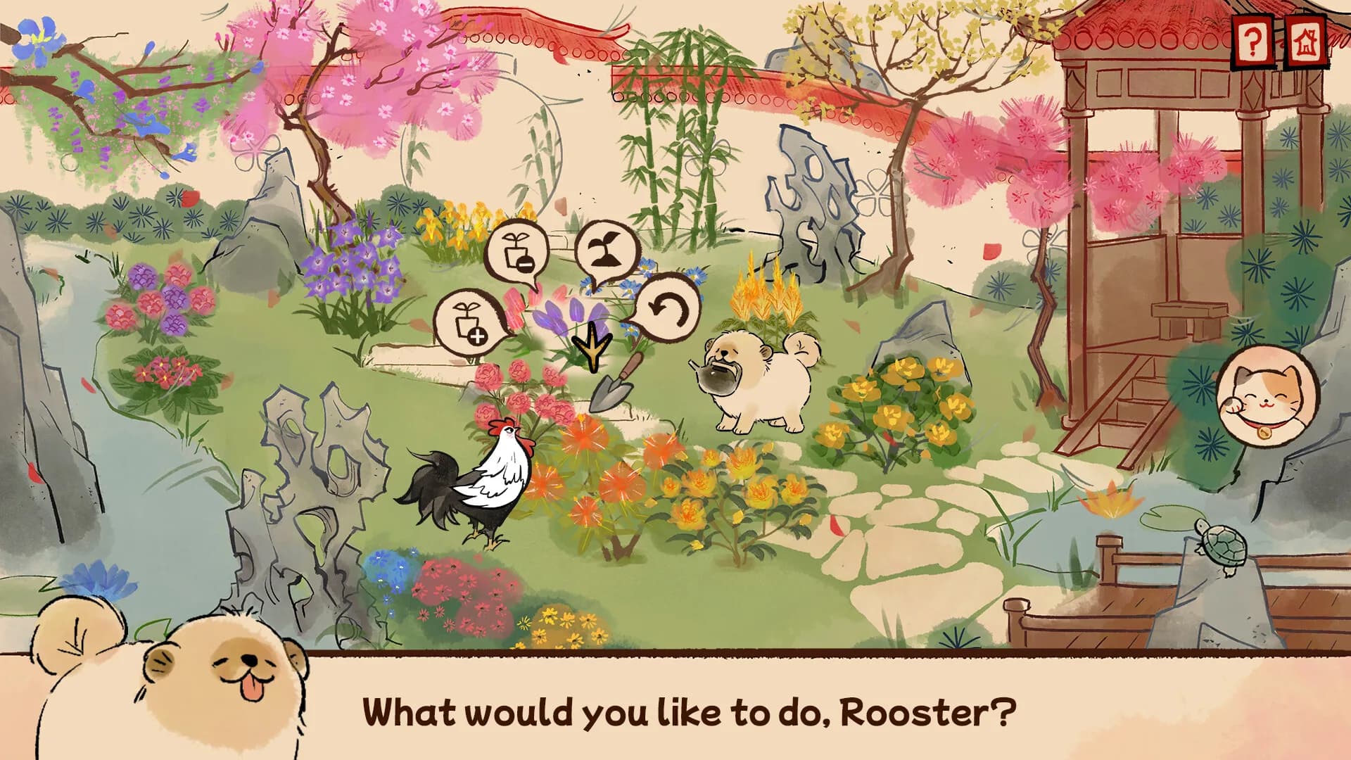 Rooster görsel 3