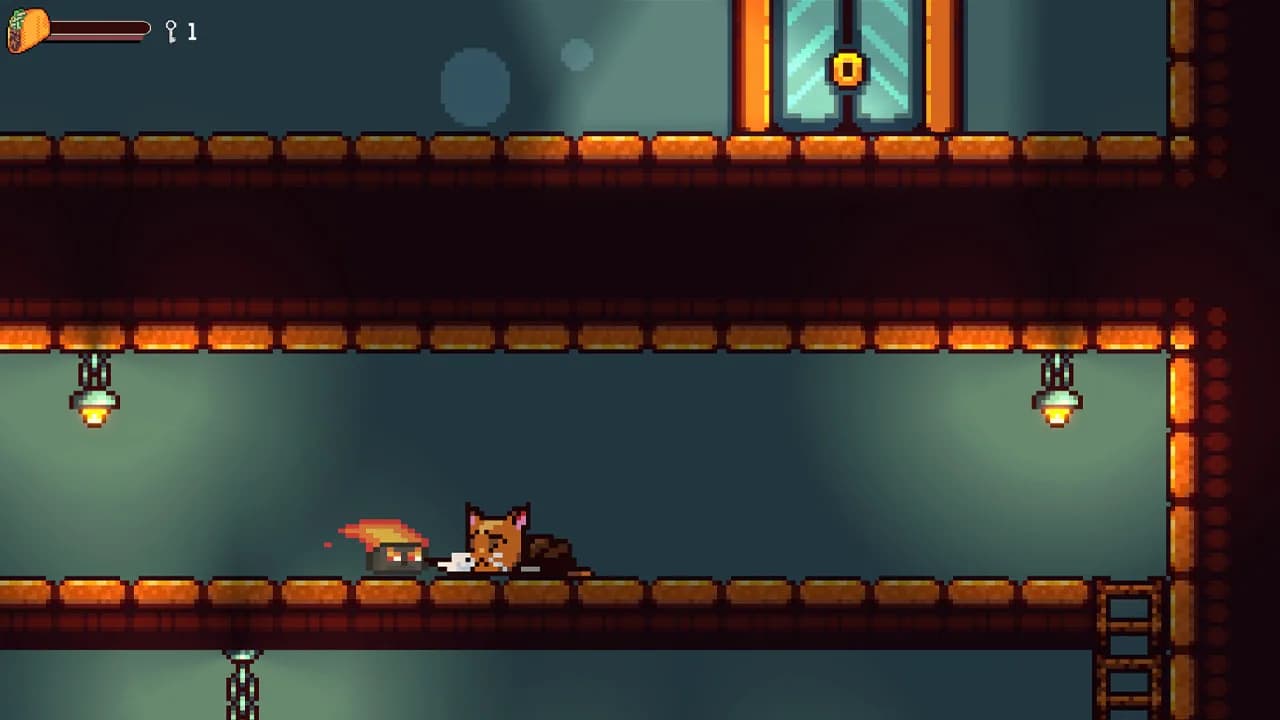 Cat Dimension görsel 2