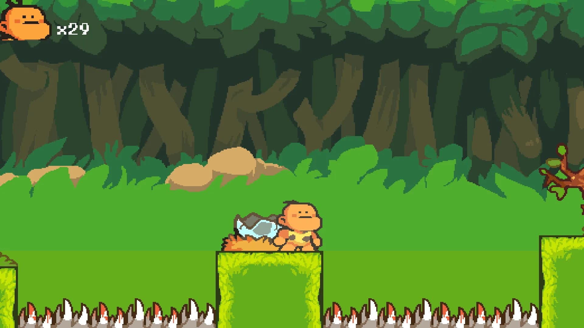Bongo Quest görsel 2