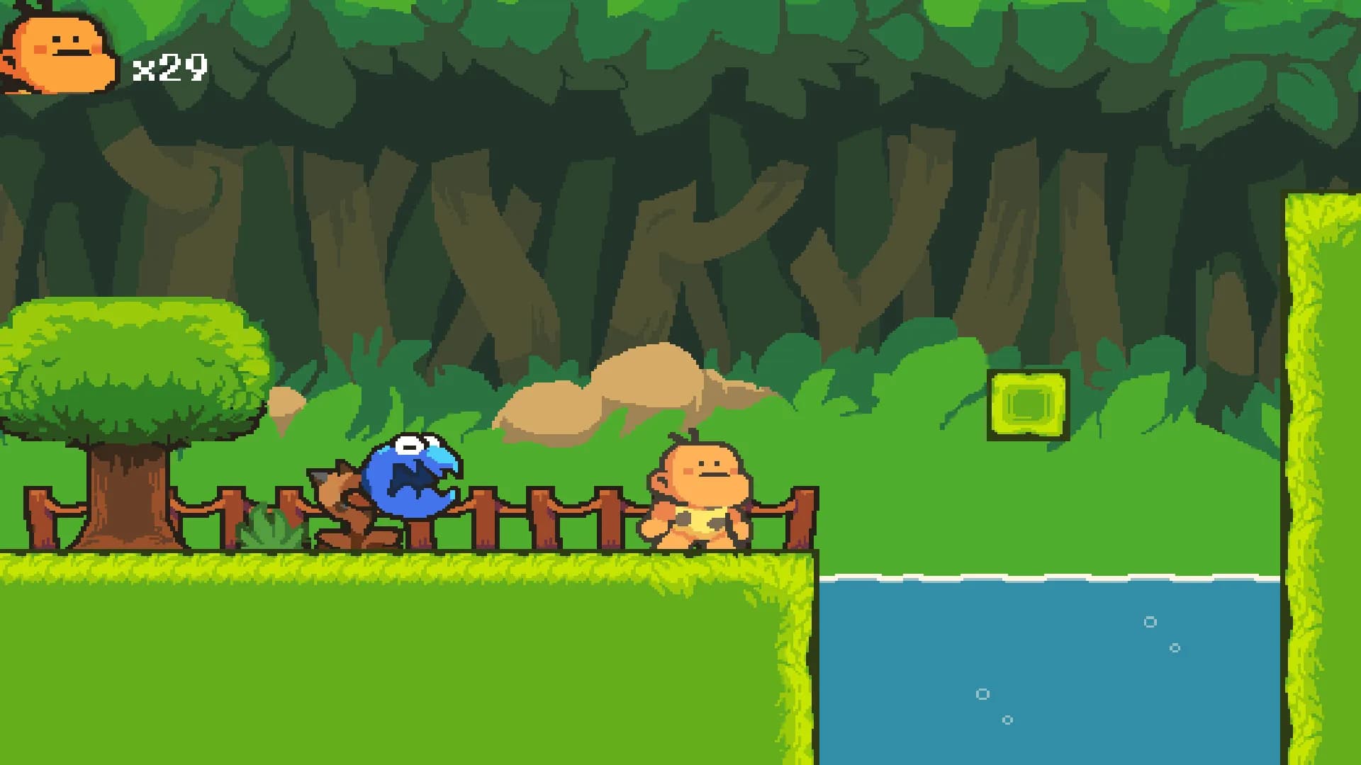 Bongo Quest görsel 3