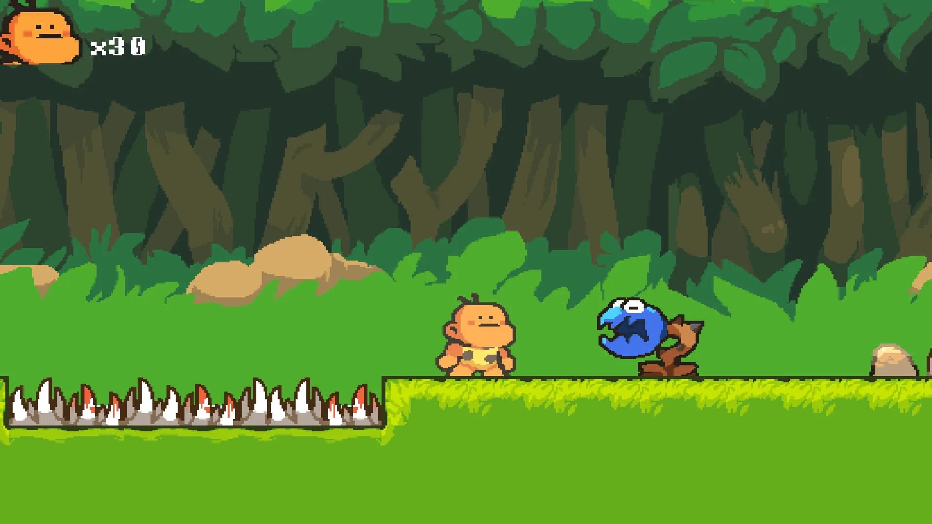 Bongo Quest görsel 5