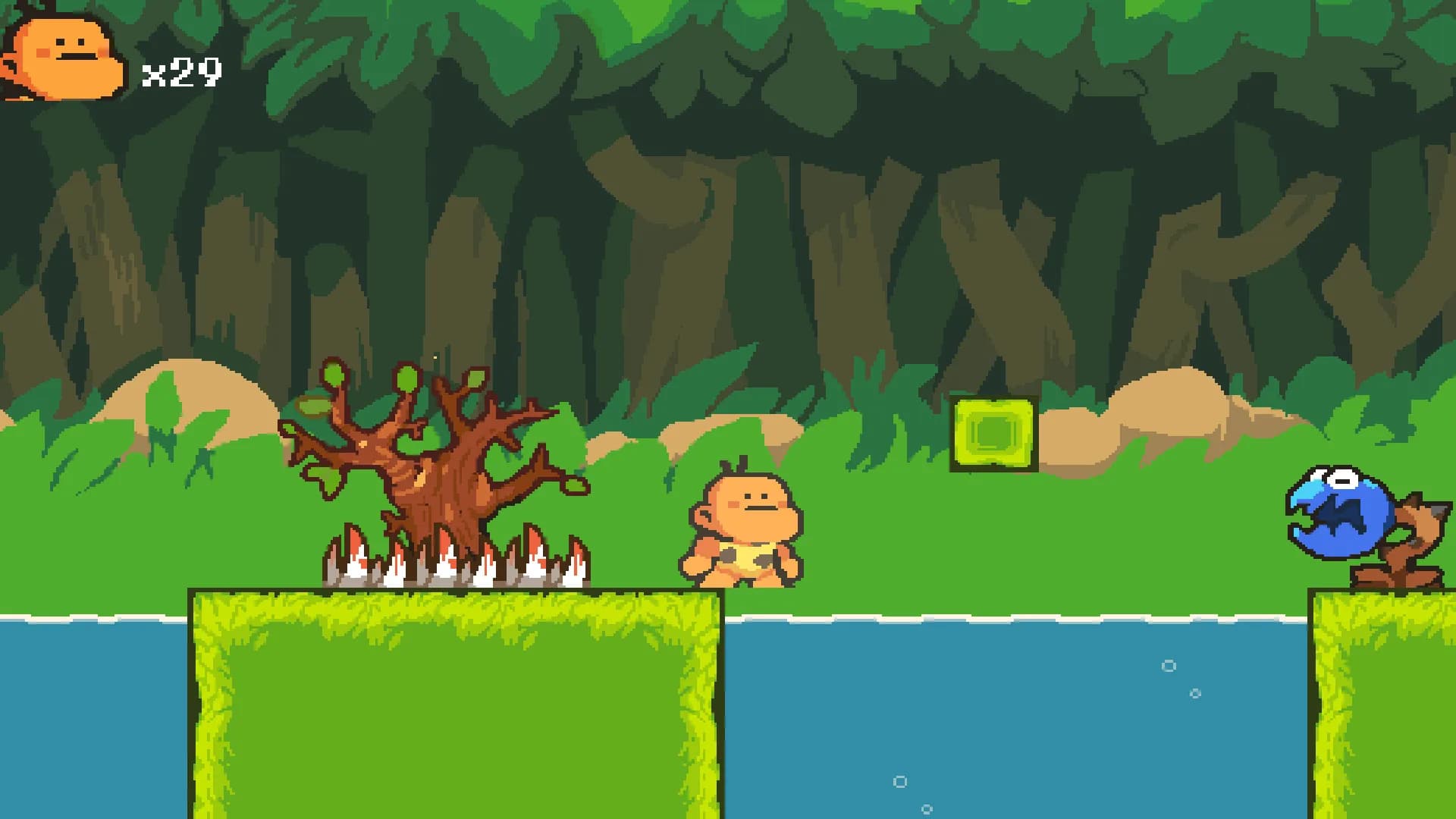 Bongo Quest görsel 6