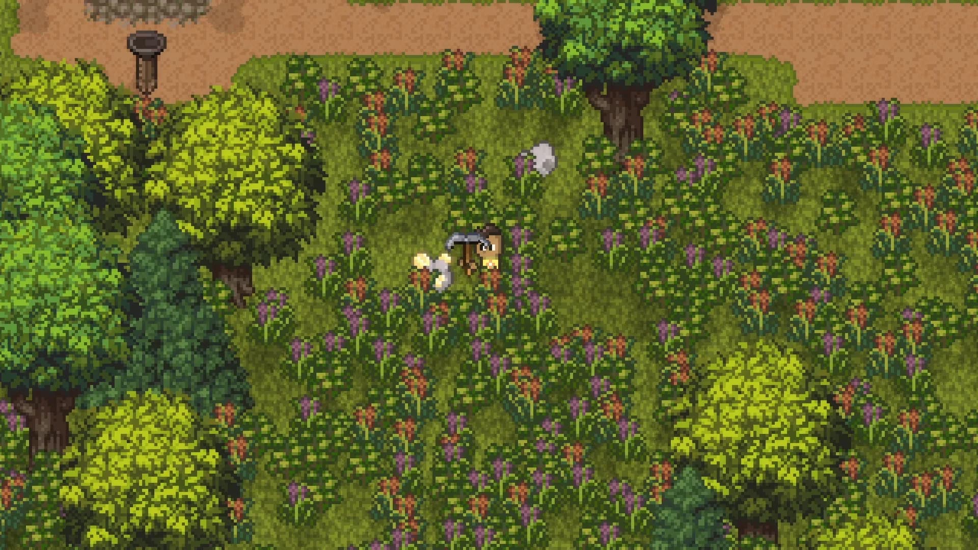 Island Berry görsel 3
