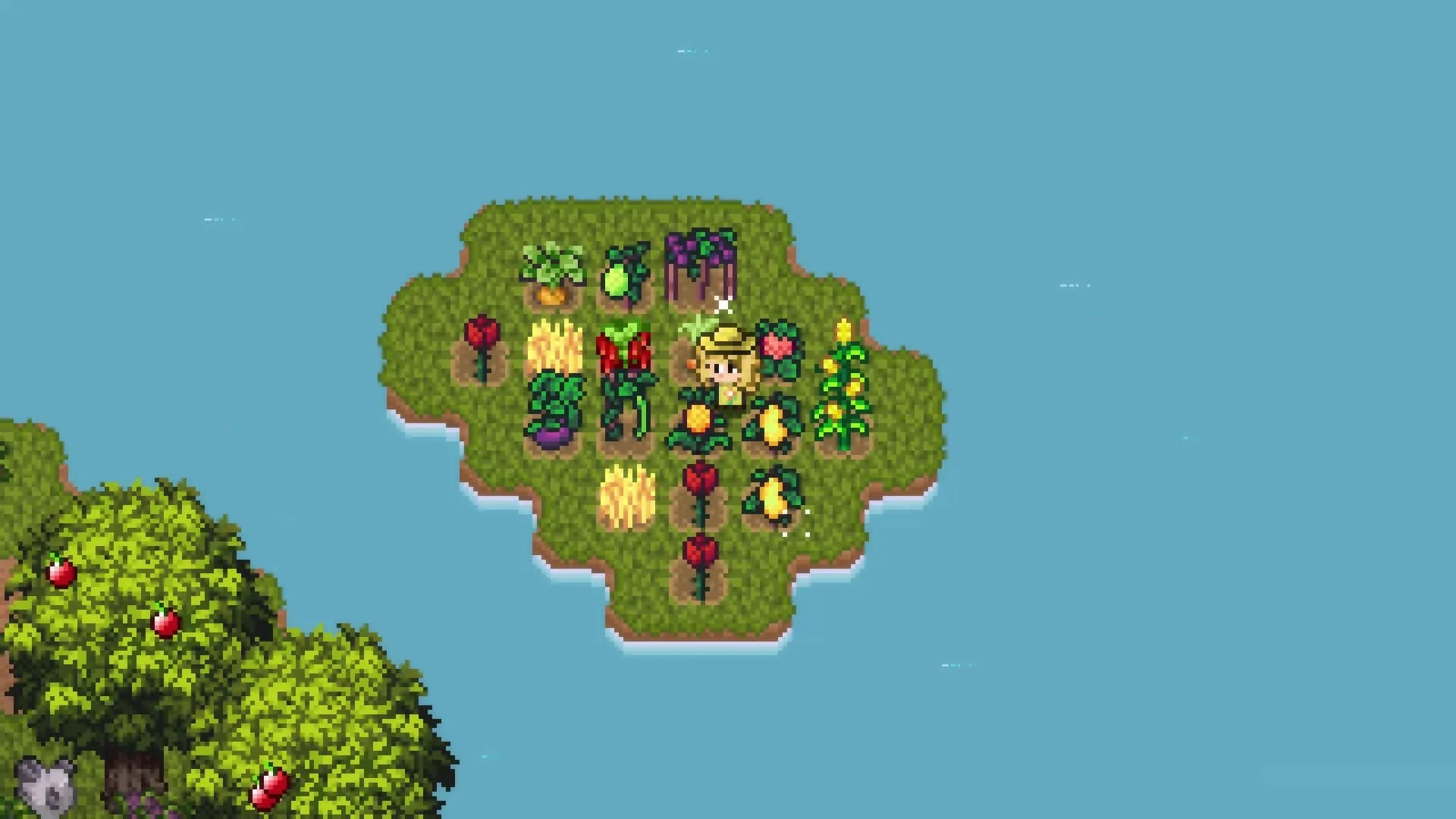 Island Berry görsel 16