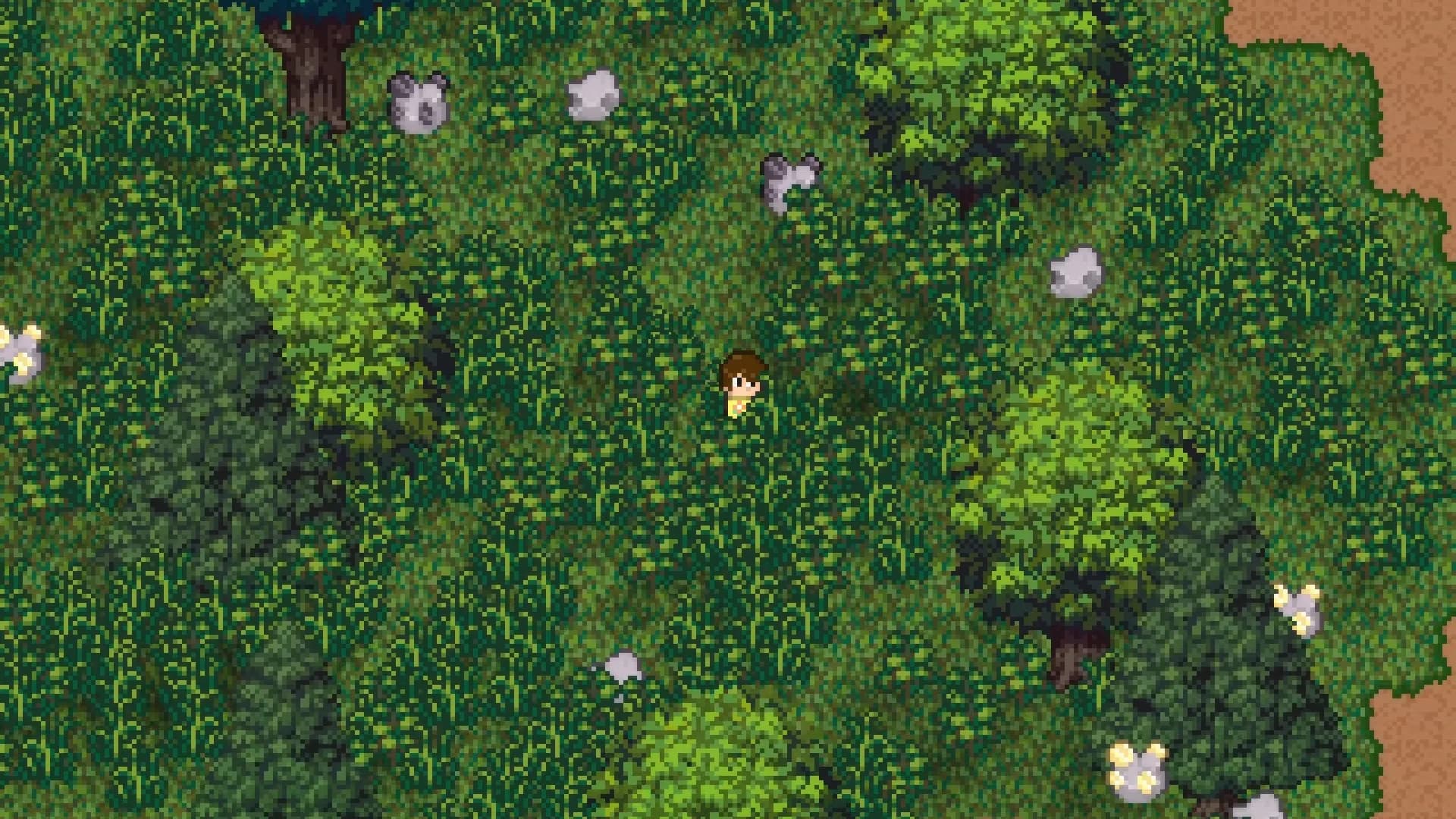 Island Berry görsel 8